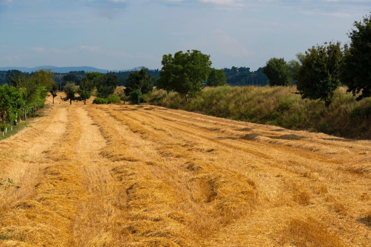 Locazione Turistica Casa Vento Della Toscana Foiano Della Chiana Extérieur photo
